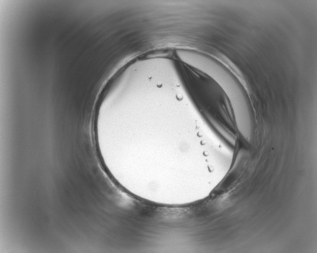 X0000072541293200608111803