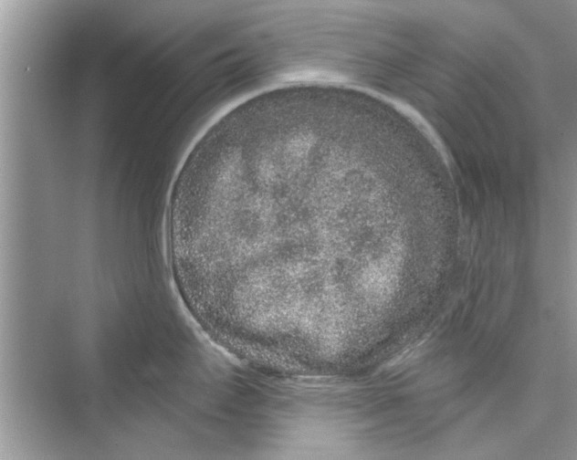 X0000072541295200608111803