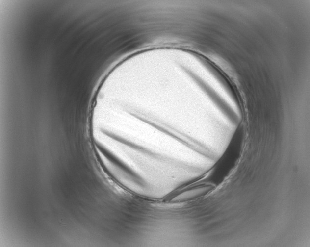 X0000072541296200608111803