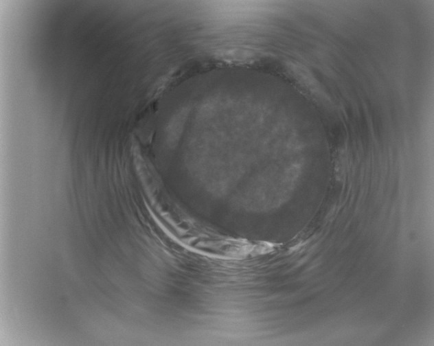 X0000072541298200608111802