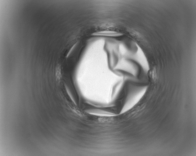 X0000072541299200608111802