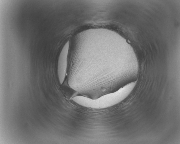 X0000072541300200608111802