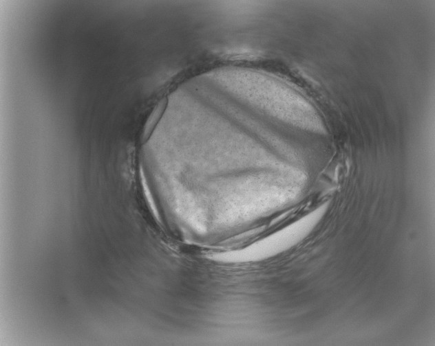 X0000072541301200608111802