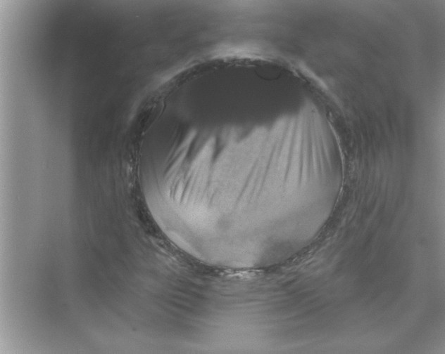 X0000072541303200608111802