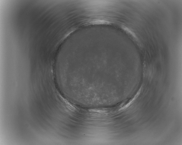 X0000072541305200608111802