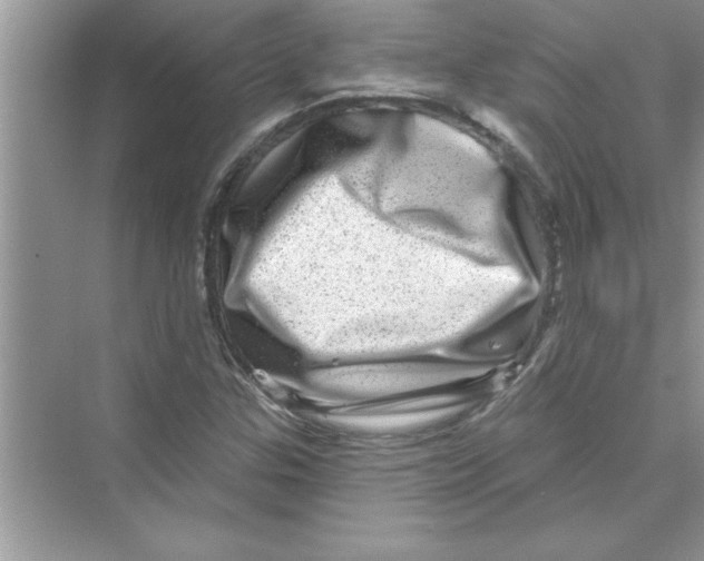 X0000072541307200608111802