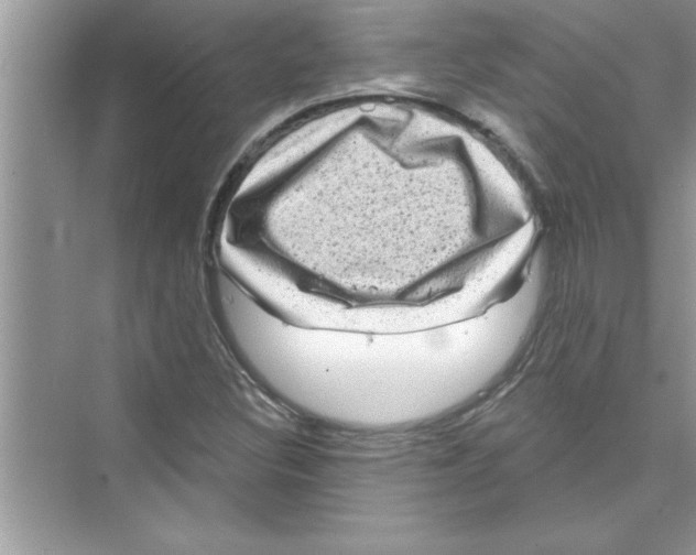 X0000072541308200608111802