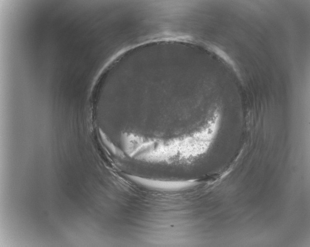 X0000072541310200608111802