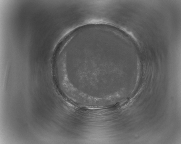 X0000072541311200608111802