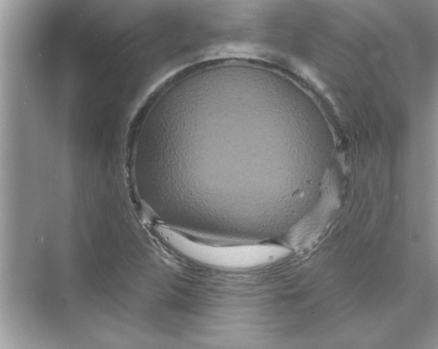 X0000072541312200608111802