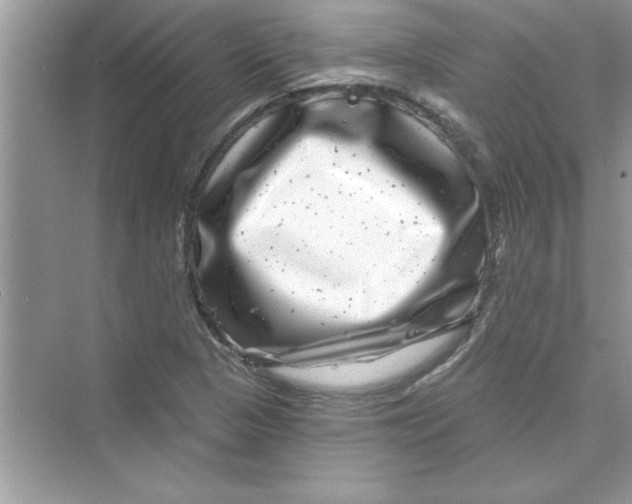 X0000072541313200608111802