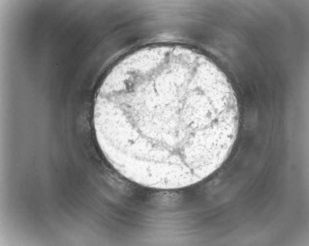 X0000072541314200608111802