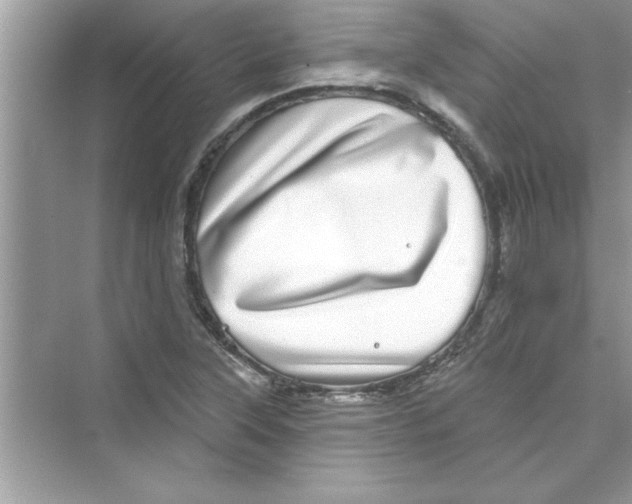 X0000072541315200608111802