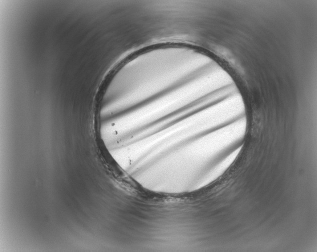 X0000072541316200608111802