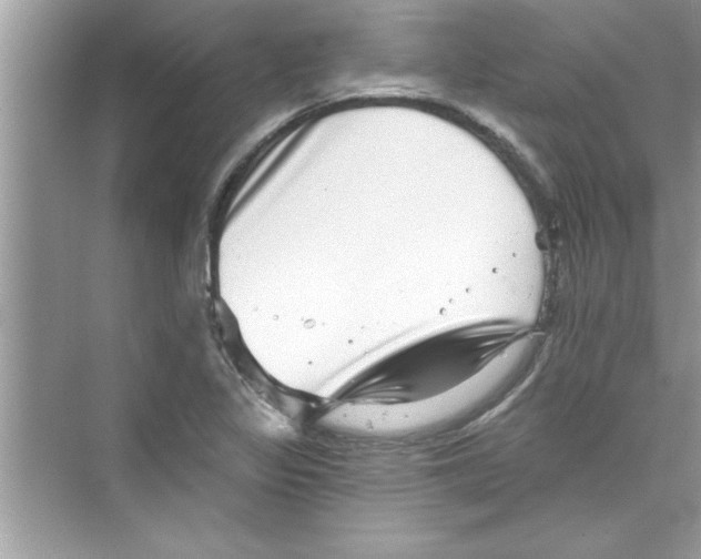 X0000072541317200608111802