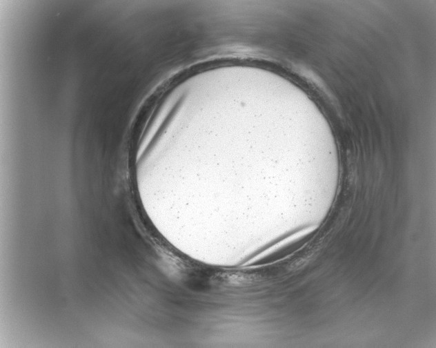 X0000072541318200608111802