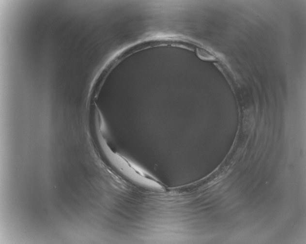 X0000072541319200608111802