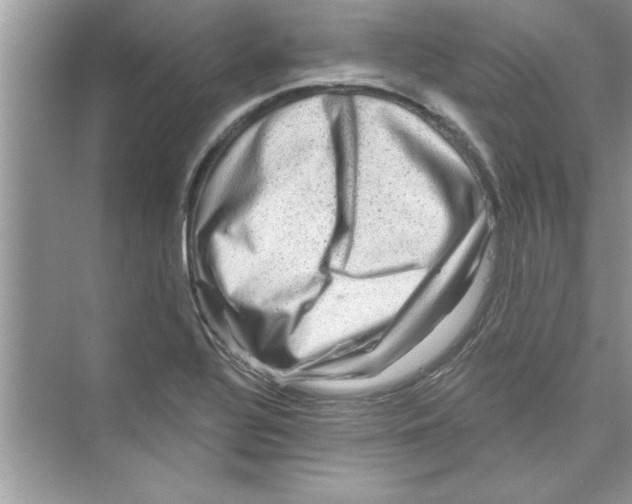 X0000072541320200608111802