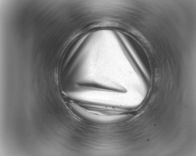 X0000072541321200608111802