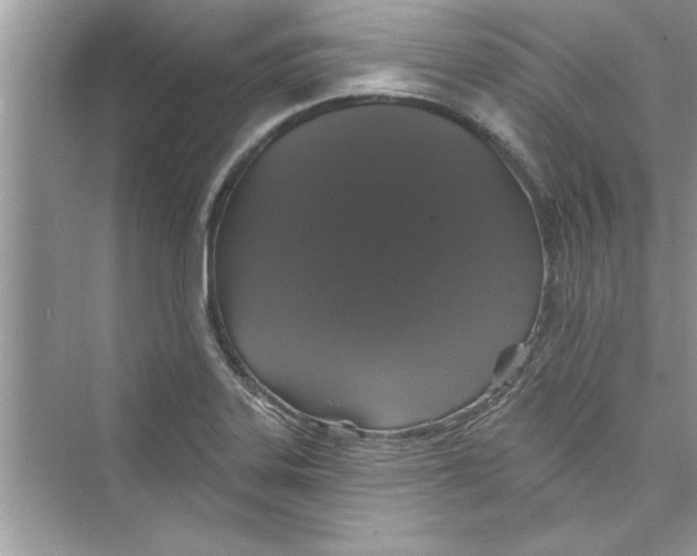 X0000072541323200608111803