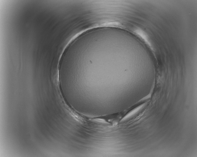 X0000072541324200608111803