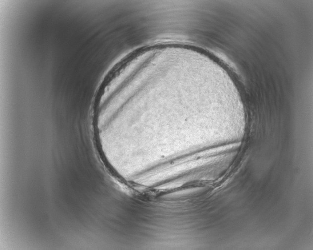 X0000072541325200608111803