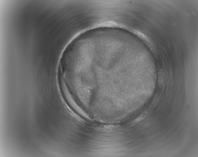 X0000072541326200608111803