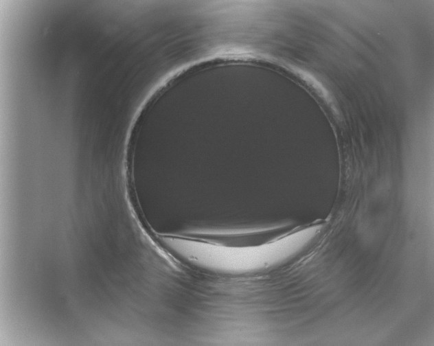 X0000072541327200608111803