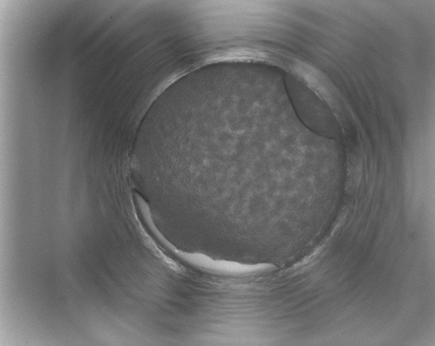 X0000072541329200608111803