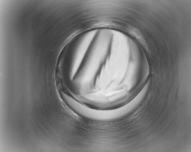 X0000072541330200608111803