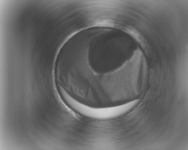 X0000072541331200608111803