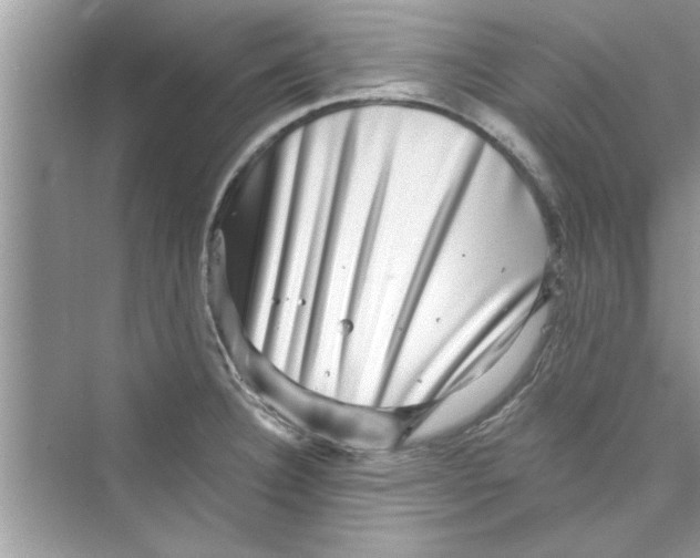 X0000072541332200608111803