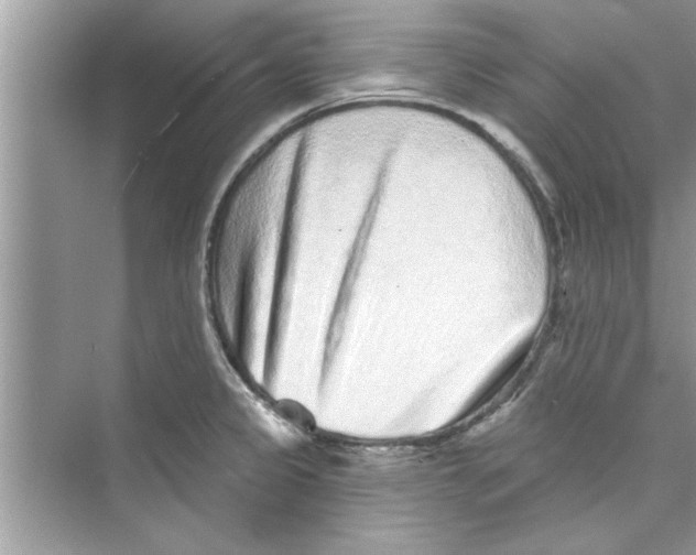 X0000072541333200608111803