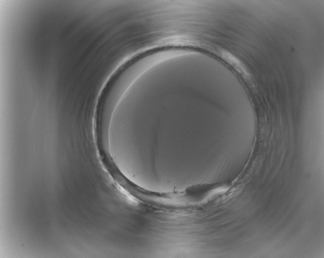 X0000072541334200608111803