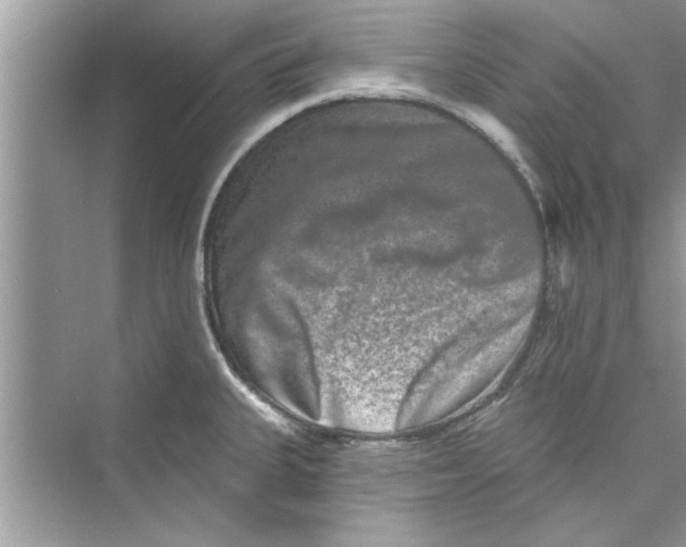 X0000072541335200608111803