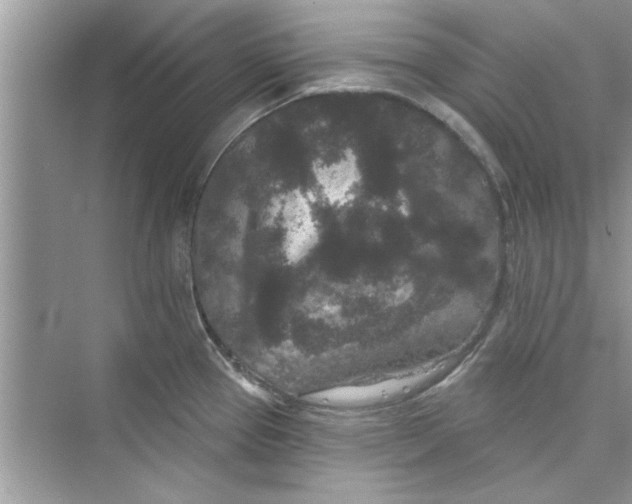 X0000072541337200608111803