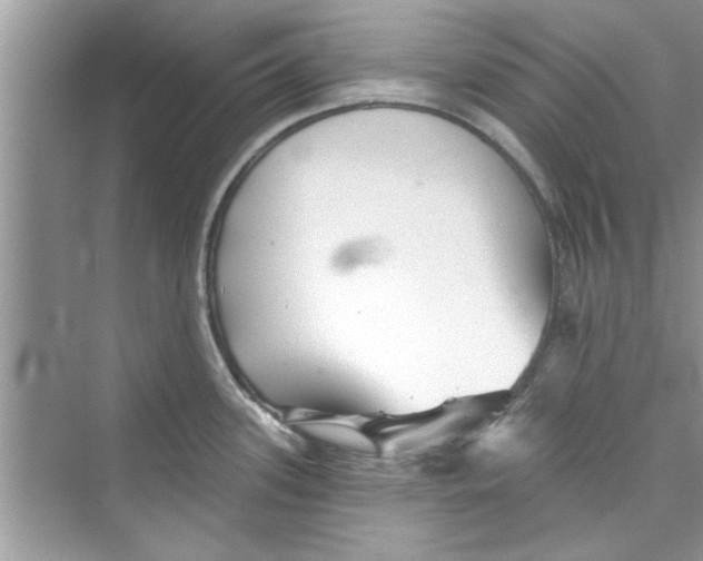 X0000072541339200608111803