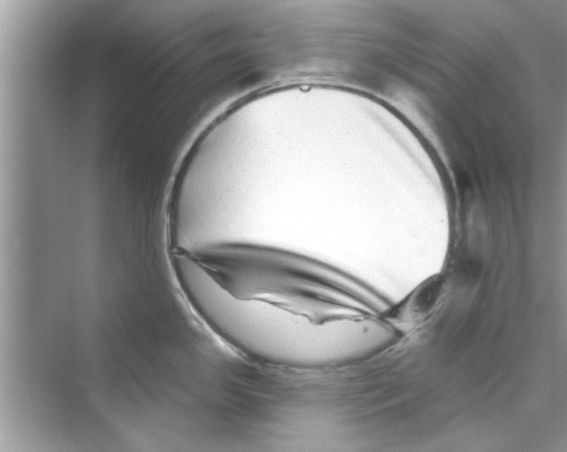 X0000072541341200608111803