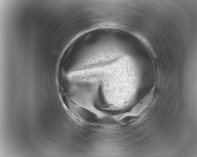 X0000072541342200608111803