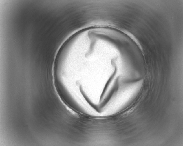 X0000072541343200608111803