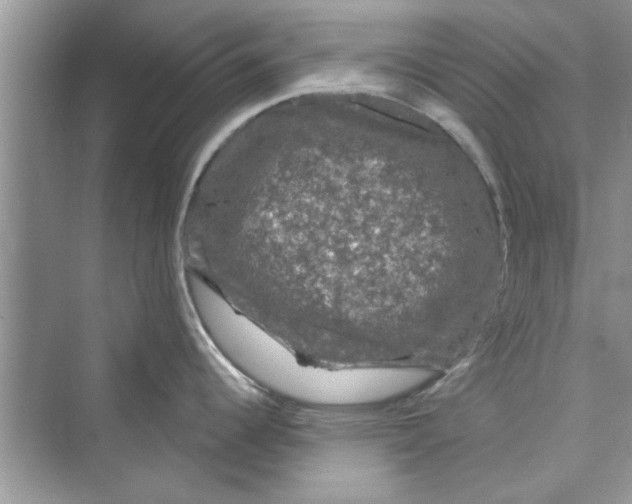 X0000072541344200608111803