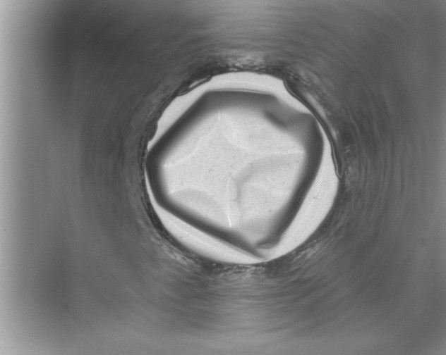 X0000072541345200608111802