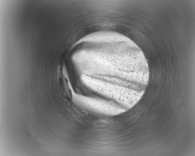 X0000072541346200608111802