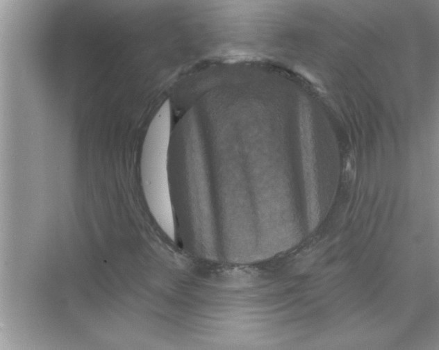 X0000072541348200608111802