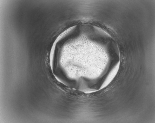 X0000072541349200608111802