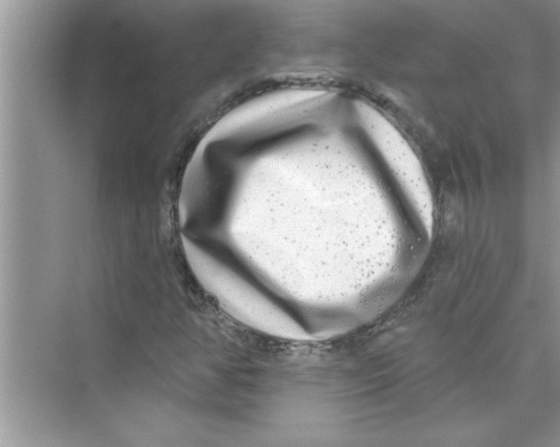 X0000072541350200608111802