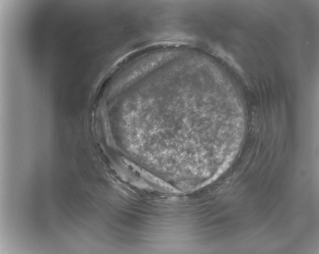 X0000072541352200608111802