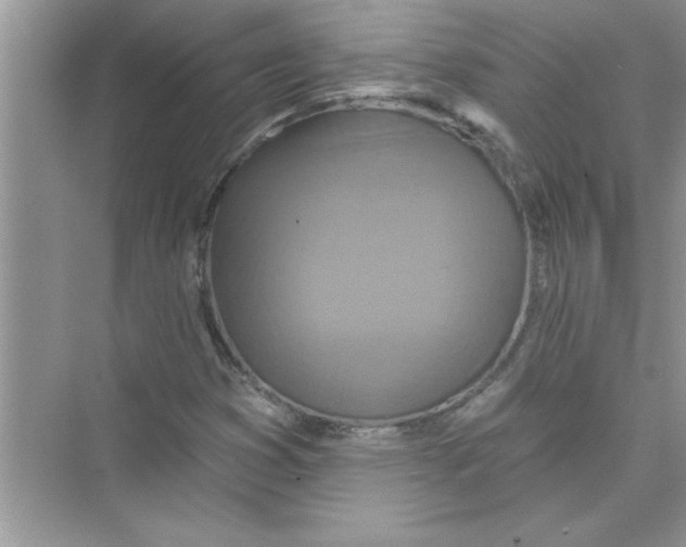 X0000072541353200608111802