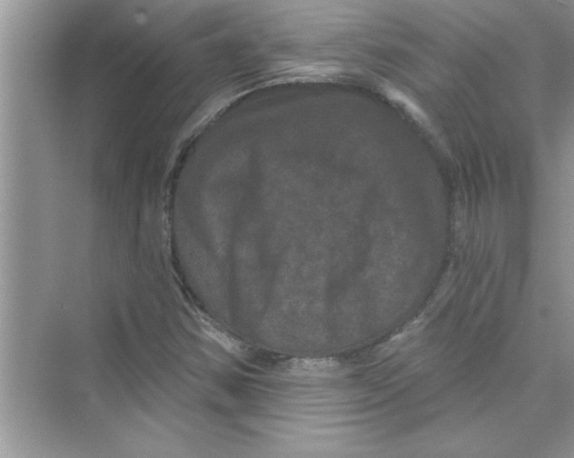 X0000072541354200608111802