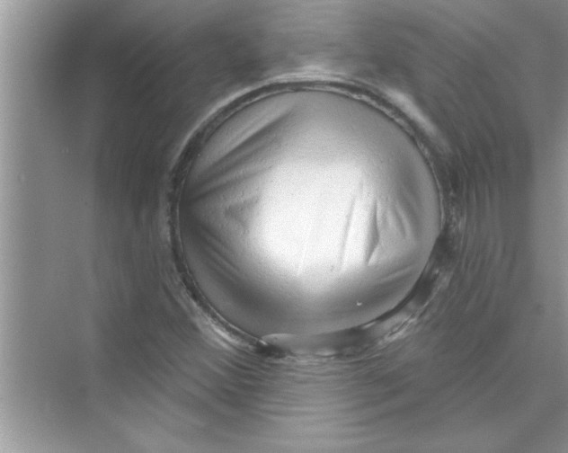 X0000072541356200608111802